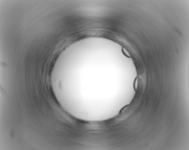 X0000091340381200708101023