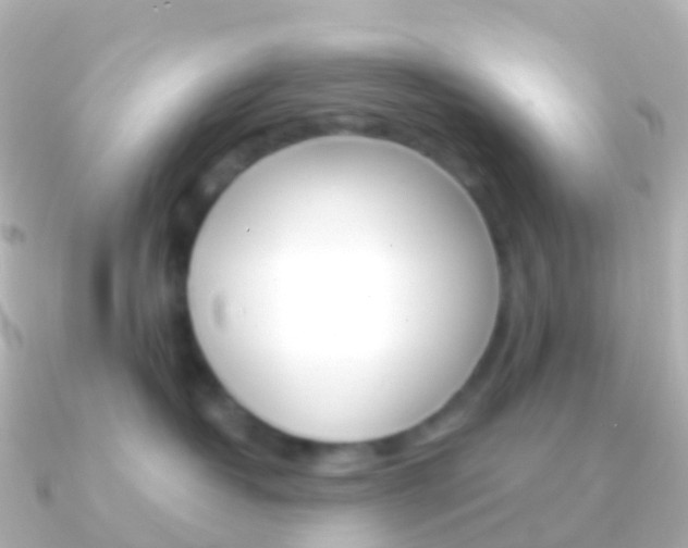 X0000091340382200708101023