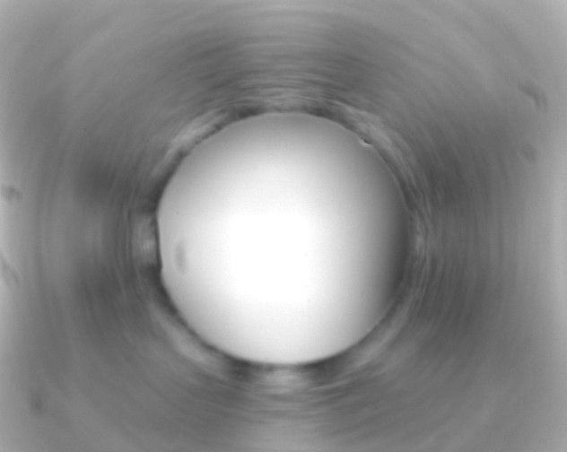 X0000091340383200708101023