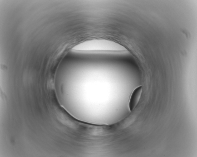 X0000091340384200708101024