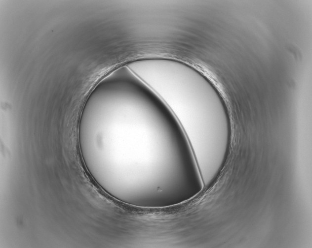 X0000091340385200708101023