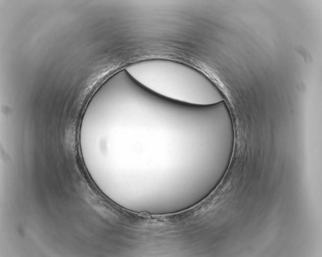 X0000091340386200708101023