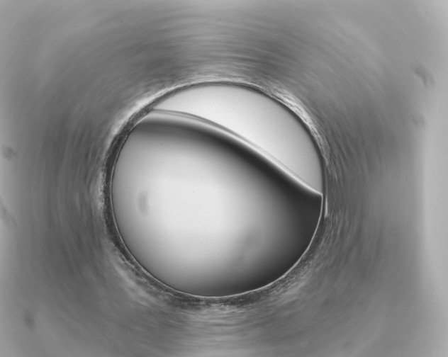 X0000091340387200708101023