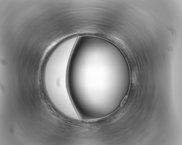 X0000091340388200708101023