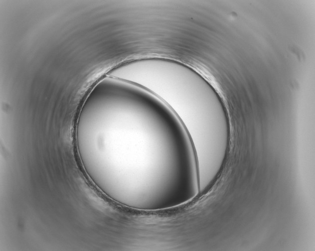 X0000091340389200708101023