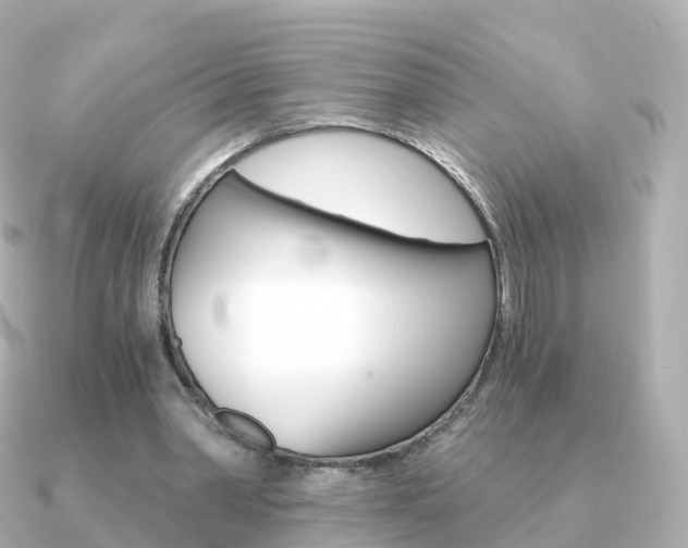 X0000091340390200708101023