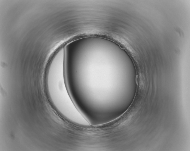 X0000091340391200708101023