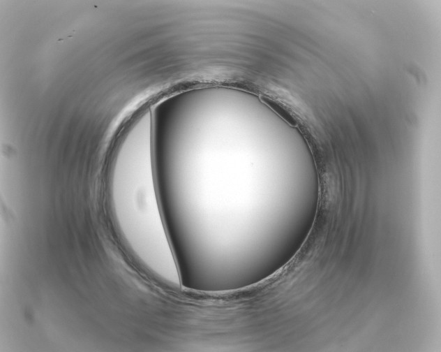 X0000091340392200708101023