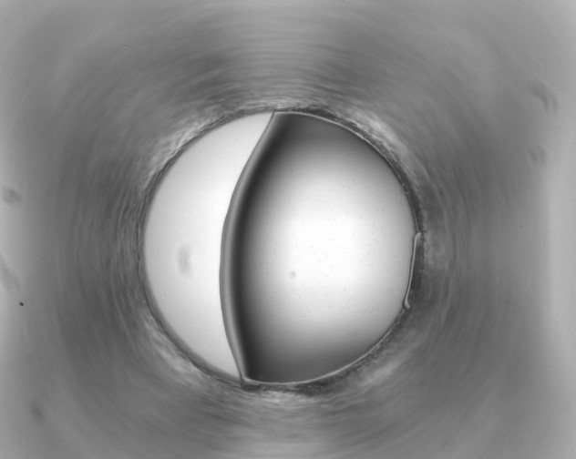 X0000091340393200708101023