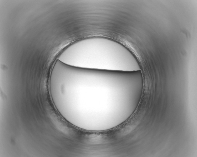 X0000091340394200708101023