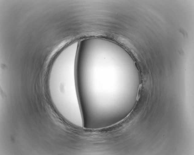 X0000091340395200708101023