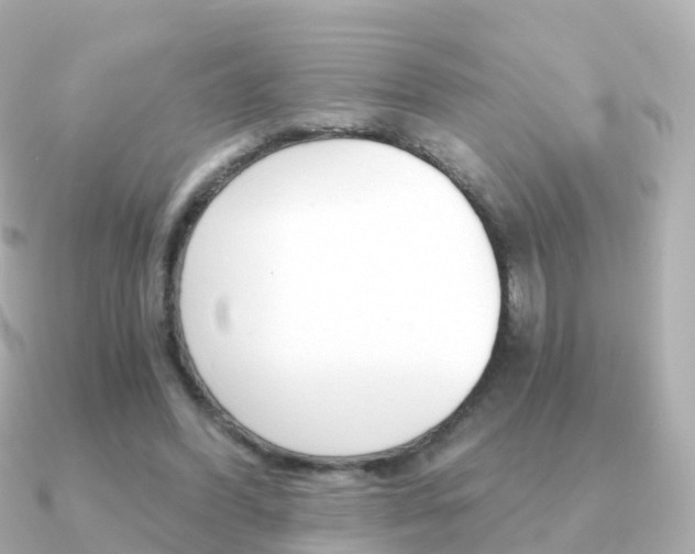 X0000091340396200708101023