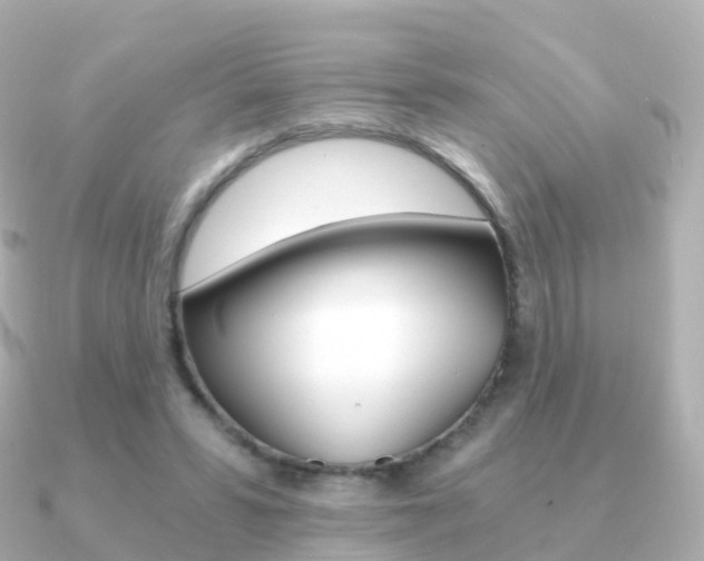 X0000091340399200708101023