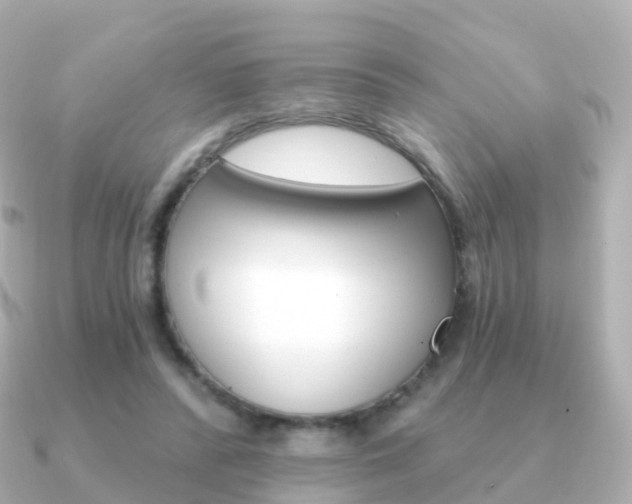 X0000091340400200708101023