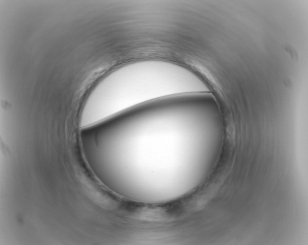 X0000091340403200708101023