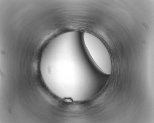 X0000091340404200708101023