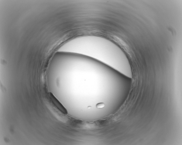 X0000091340405200708101023