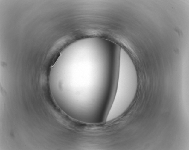 X0000091340407200708101023