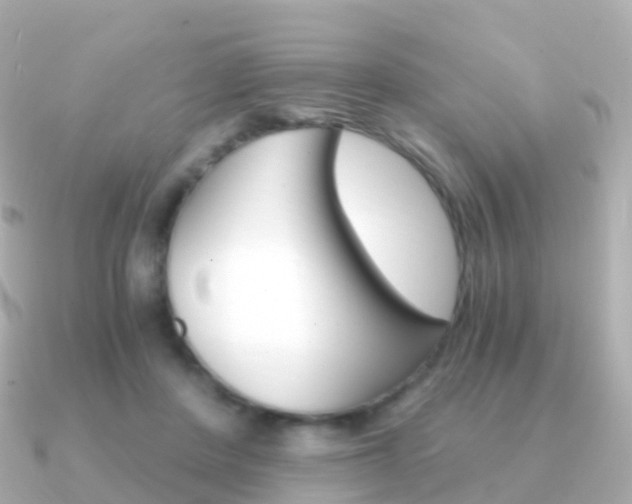 X0000091340408200708101023