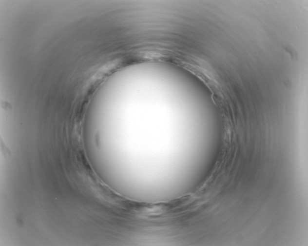 X0000091340411200708101023