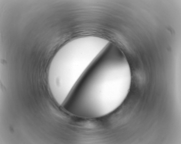 X0000091340412200708101023