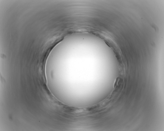 X0000091340415200708101023