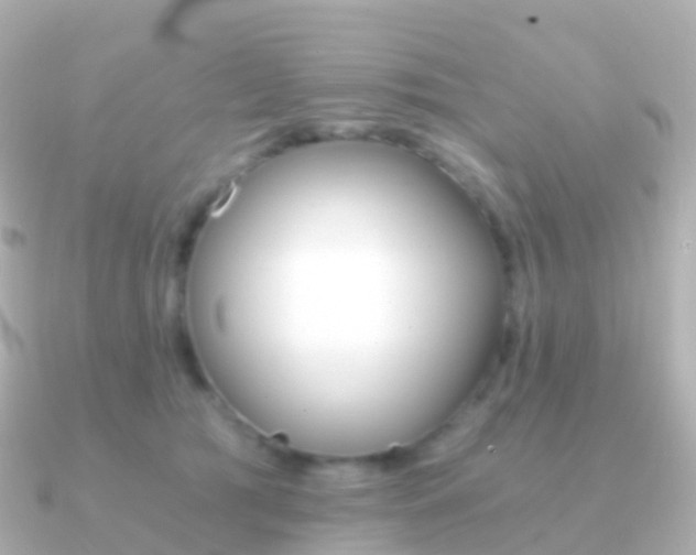 X0000091340417200708101023