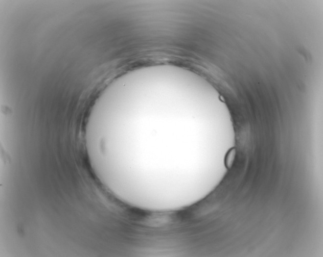 X0000091340418200708101023