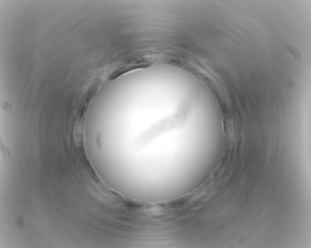 X0000091340419200708101023