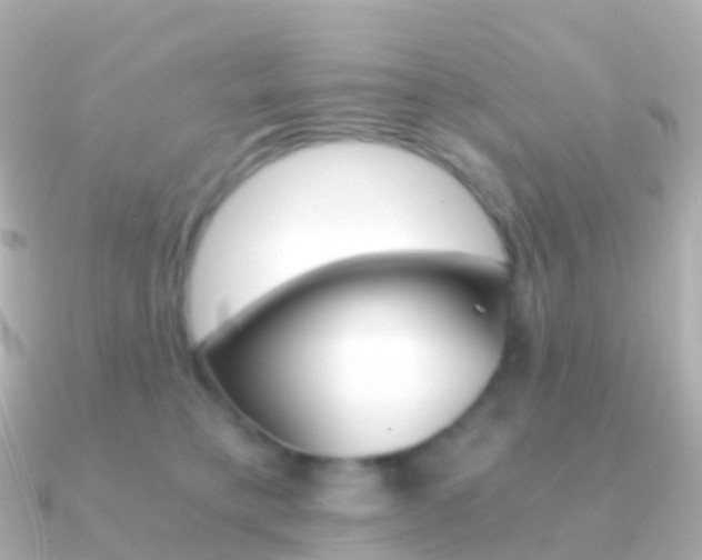X0000091340421200708101023