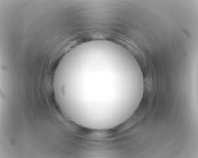 X0000091340422200708101023