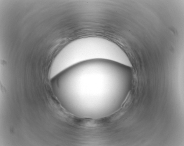 X0000091340423200708101023