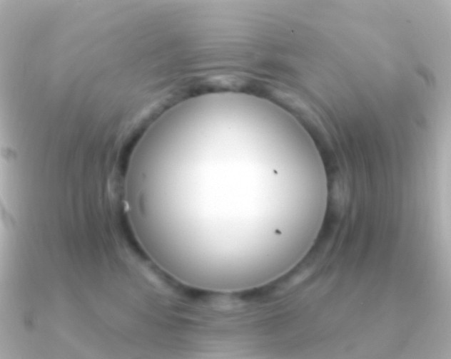 X0000091340424200708101023
