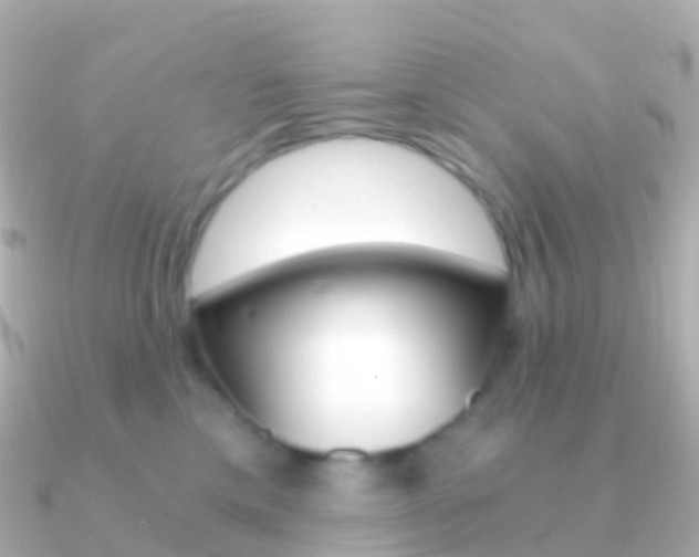 X0000091340425200708101022