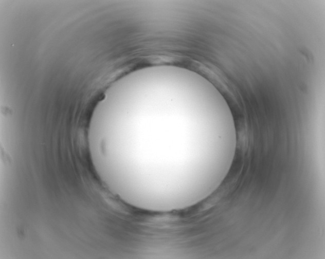 X0000091340426200708101022
