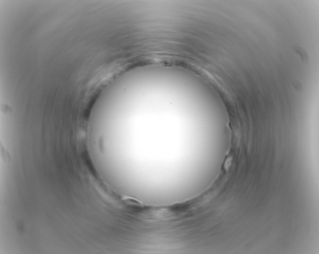 X0000091340427200708101022