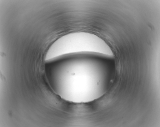 X0000091340428200708101022