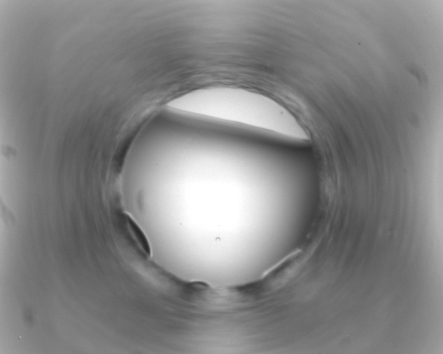 X0000091340429200708101022