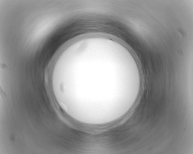 X0000091340431200708101022