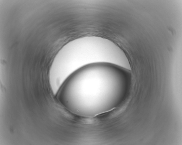 X0000091340432200708101022