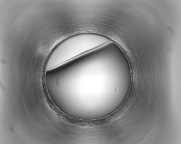 X0000091340434200708101022