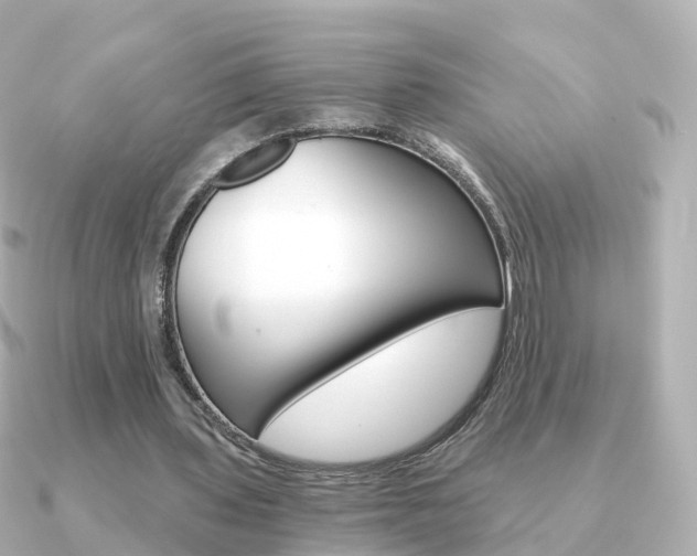 X0000091340435200708101022