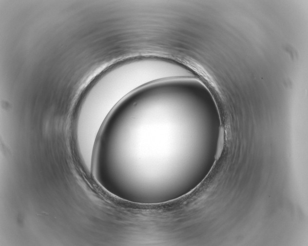 X0000091340436200708101022