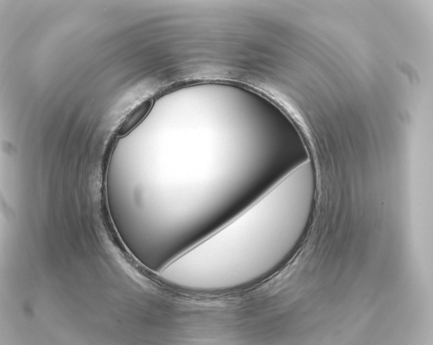 X0000091340437200708101022