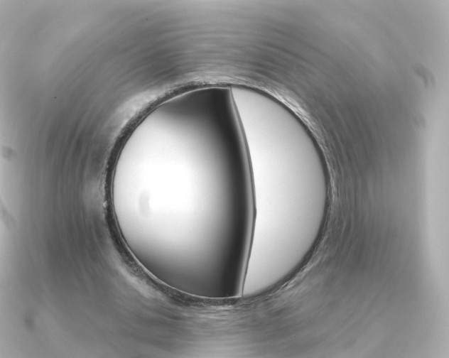 X0000091340438200708101022