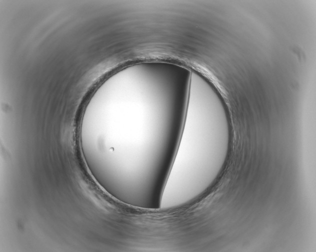 X0000091340439200708101022