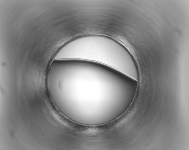 X0000091340441200708101022