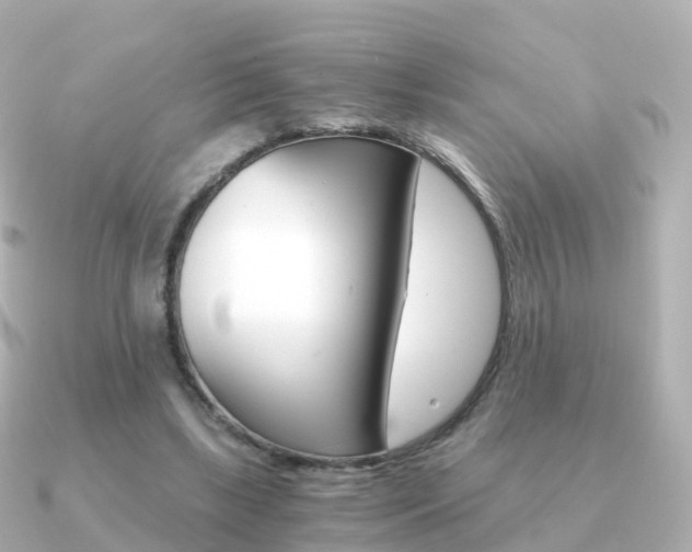 X0000091340443200708101022