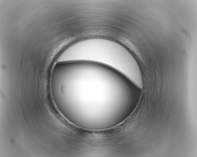 X0000091340444200708101022