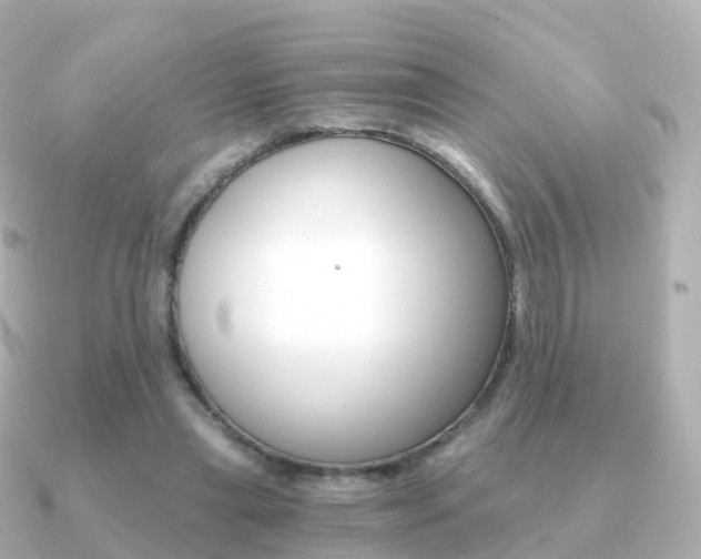 X0000091340445200708101022